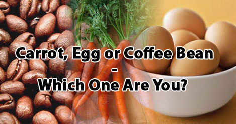 Carrot, Egg or Coffee Bean – Which One Are You?